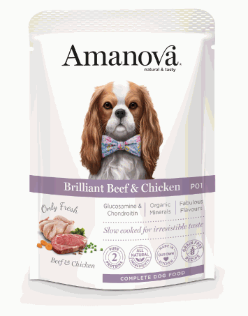 Best Pet Groomer